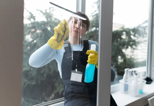 Nettoyage de vitres intérieures et extérieures à Saligny